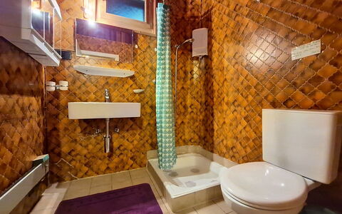 Le Mayen D'Ovronnaz: Interior Design, Plumbing Fixture, Flooring, Wood, Floor, Bathroom, Plumbing, Lighting, Tap, Tile