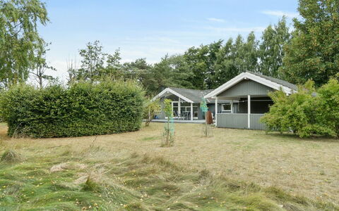 Veljan - 300M from the Sea: House, Shrub, Roof, Home, Residential Area, Cottage, Land Lot, Estate, Garden