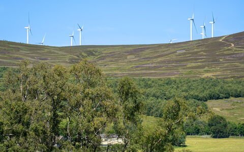 Strathnoon: Natural Environment, Grassland, Ecoregion, Landscape, Field, Land Lot
