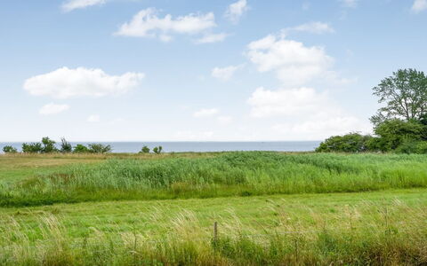 Apsolon - 100M from the Sea: Sky, Blue, Green, Grass, Natural Environment, Grassland, Vegetation, Natural Landscape, Cloud, Ecoregion