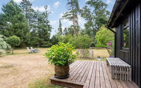Thorunn - 250M from the Sea: Wood, Shrub, Garden, Land Lot, Plant Community, Groundcover, Cottage, Backyard, Shade