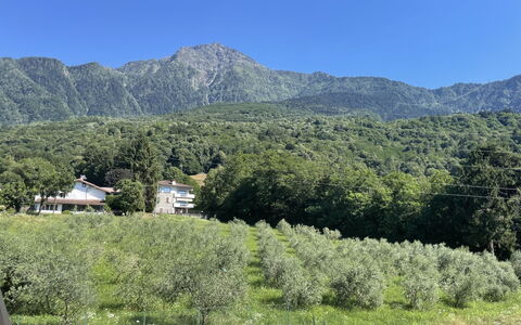 Aura: Mountainous Landforms, Mountain, Hill, Vegetation, Highland, Hill Station, Mountain Range, Landscape, Plant Community, Ecoregion