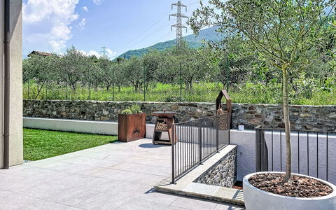 Aura: Garden, Concrete, Shade, Flagstone, Landscaping, Backyard, Walkway, Yard, Courtyard, Driveway