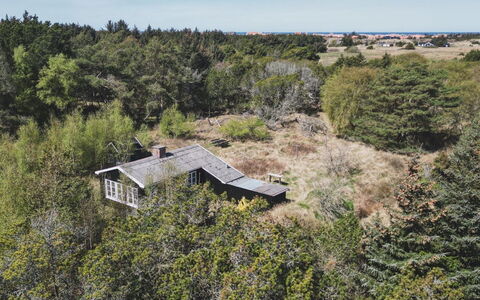 Inan - 800M from the Sea: Vegetation, Shrub, Plant Community, Home, Cottage, Rural Area, Estate, Shrubland, Farmhouse