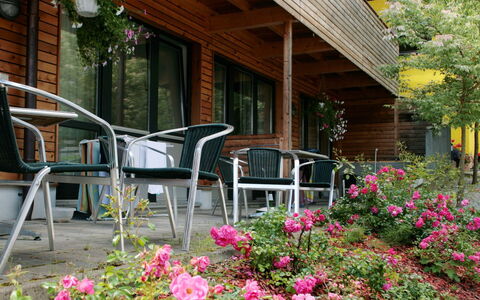 Zell am See 79: Flower, Garden, Yard, Shade, Landscaping, Wood Stain, Houseplant, Backyard, Flowerpot, Floristry