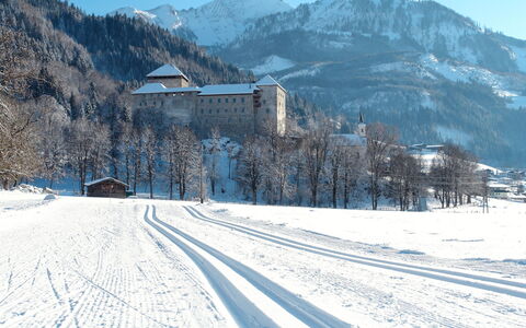 Zell am See 79: Snow, Winter, Mountainous Landforms, Mountain, Glacial Landform, Landscape, Highland, Mountain Range, Hill, Hill Station