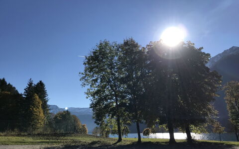 Achenkirch 622: Nature, Leaf, Tree, Branch, Natural Landscape, Hill, Landscape, Sun, Sunlight, Hill Station