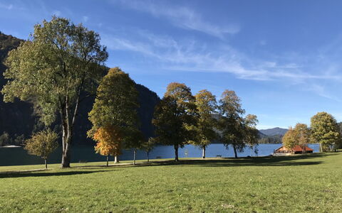 Achenkirch 622: Grass, Leaf, Tree, Green, Nature, Natural Environment, Natural Landscape, Grassland, Landscape, Hill