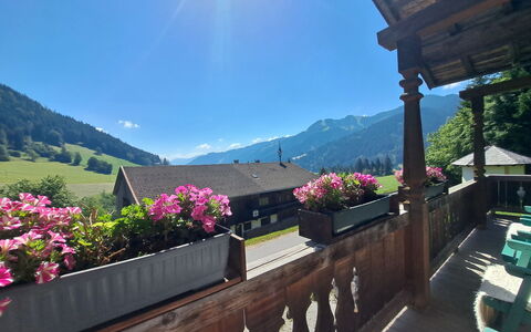 Grub: Mountain Range, Balcony, Flowerpot, Houseplant, Floristry, Eco Hotel, Alps, Mountain Village