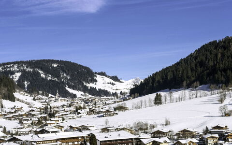 Grub: Mountainous Landforms, Mountain, Hill, Mountain Range, Highland, Snow, Terrain, Winter, Hill Station, Landscape