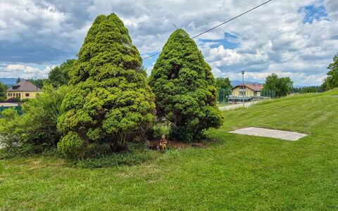 Haus Valentin: Leaf, Shrub, Garden, Groundcover, Woody Plant, Landscaping, Lawn, Botanical Garden, Evergreen