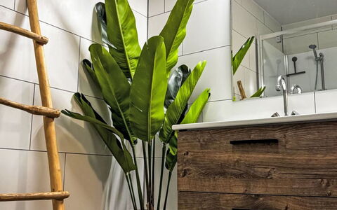 Eifelhuis im Salmtal: Interior Design, Flooring, Floor, Bathroom Cabinet, Plumbing Fixture, Houseplant, Natural Material, Bathroom, Light Fixture, Tile