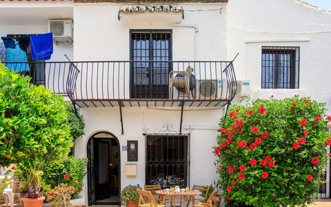 Carmen: Flowerpot, Door, Balcony, Houseplant, Hacienda, Courtyard