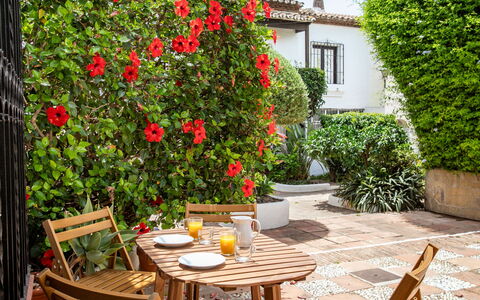 Carmen: Flower, Shrub, Flowerpot, Garden, Houseplant, Courtyard, Chair, Yard, Shade