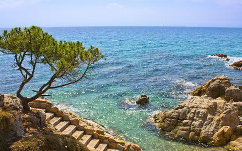 Cannes: Blue, Water, Body Of Water, Coast, Rock, Coastal And Oceanic Landforms, Sea, Summer, Landscape, Shore
