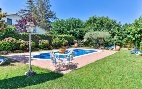 Quietud: Blue, Shrub, Garden, Lawn, Shade, Landscaping, Hacienda, Swimming Pool, Yard