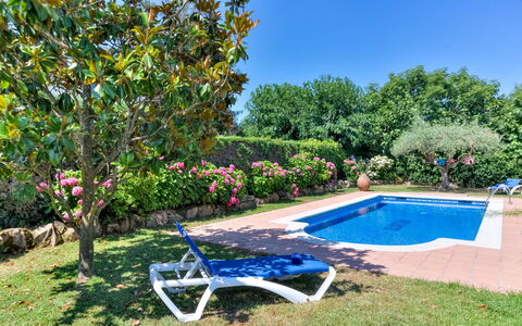Quietud: Blue, Swimming Pool, Shrub, Garden, Resort, Leisure, Landscaping, Shade, Eco Hotel
