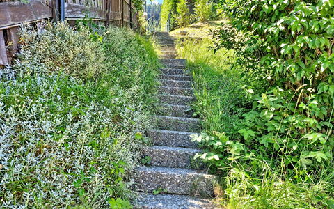 Balcon du Ciel 1: Green, Vegetation, Shrub, Plant Community, Groundcover, Garden, Spring, Stairs, Herbaceous Plant