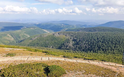Golden View: Mountainous Landforms, Hill, Mountain, Highland, Wilderness, Landscape, Terrain, Hill Station, Ridge, Fell