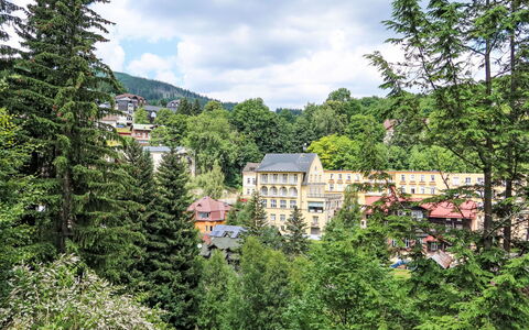 Golden View: Tree, Shrub, Residential Area, Landscape, Home, Larch, Hill Station, Suburb, Mountain Village
