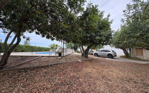 Casale Nardi: Tree, Leaf, Branch, Road Surface, Shade, Woody Plant, Sunlight, Driveway, Soil, Landscaping
