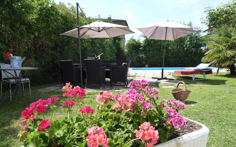 Villa Eva: Furniture, Outdoor Furniture, Shrub, Chair, Garden, Umbrella, Flowerpot, Outdoor Table, Shade