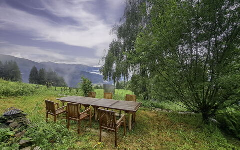 Grafenast: Natural Landscape, Forest, Hill Station, Larch, Valley, Garden, Landscaping, Evergreen