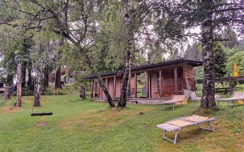 Grafenast: Tree, Wood, Cottage, Land Lot, Rural Area, Spring, Trunk, Log Cabin, Garden Buildings, Woodland