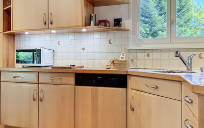 Accommodation:&nbsp;Chalet Chaudoudoux - les Paccots 603.2