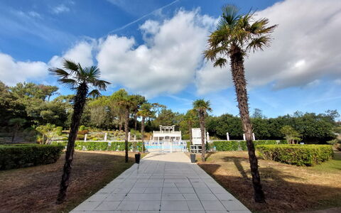 Confort, Piscine et Plage: Tree, Shrub, Public Space, Garden, Woody Plant, Walkway, Landscaping, Shade, Park