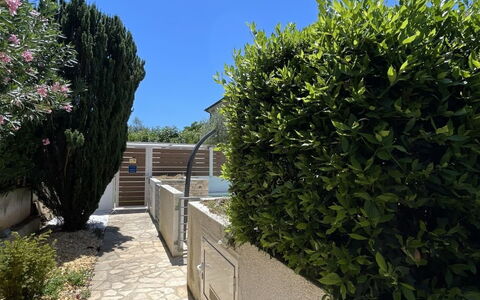 Volme: Shrub, Garden, Shade, Walkway, Landscaping, Concrete, Hedge, Sidewalk, Driveway, Flagstone