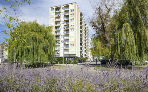 Silver: Daytime, Building, Apartment, Residential Area, City, Urban Area, Neighbourhood, Facade, Condominium