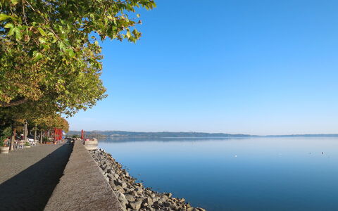 Lago di Vico 629: Blue, Water, Body Of Water, Coastal And Oceanic Landforms, Bank, Coast, Sea, Lake, Shore, Morning