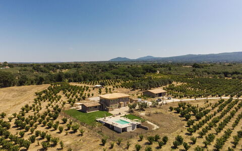 Lago di Vico 629: Plain, Landscape, Land Lot, Estate, Bird'S-Eye View, Aerial Photography, Field, Plantation, Agriculture, Farm
