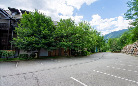 Les Chalets D'Ax: Tree, Road Surface, Branch, Asphalt, Driveway, Parking