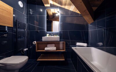 Accommodation:&nbsp;Résidence L'Orée du Bois 620.6