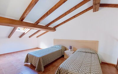 Accommodation:&nbsp;Palma & Oliva 610.2