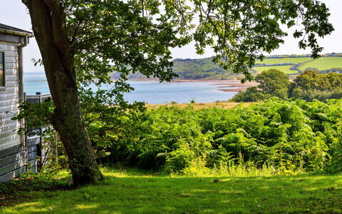 Seascape: Green, Nature, Natural Landscape, Vegetation, Summer, Shrub, Landscape, Grassland, Plant Community