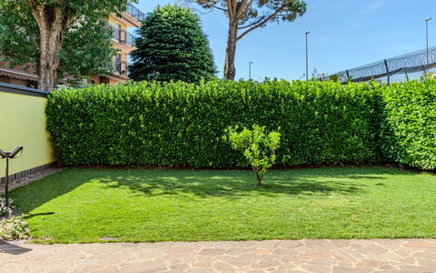 Villa Giulia: Green, Shrub, Hedge, Garden, Groundcover, Lawn, Landscaping, Shade, Walkway, Artificial Turf