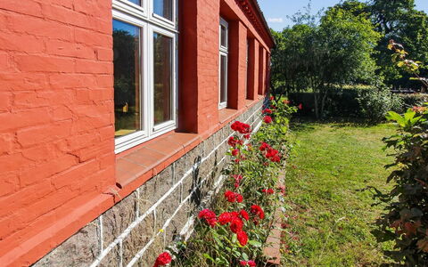 Helge - 10Km from the Sea: Wall, Red, Brick, Shrub, Brickwork, Groundcover, Garden, Backyard