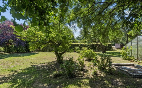 Helge - 10Km from the Sea: Leaf, Tree, Green, Branch, Vegetation, Shrub, Plant Community, Garden, Groundcover, Woody Plant