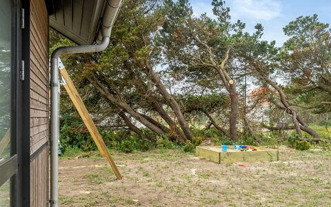 Ylermi - 600M from the Sea: Wood, Backyard, Garden, Shade, Siding, Yard, Garden Buildings, Shed, Plank