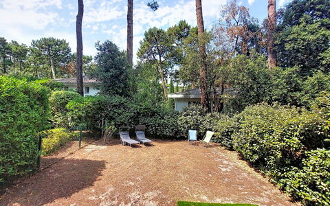 Beau Séjour: Shrub, Garden, Groundcover, Shade, Lawn, Backyard, Landscaping, Hedge, Yard, Driveway