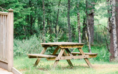 Accommodation:&nbsp;Capercaillie Cabin 100.3