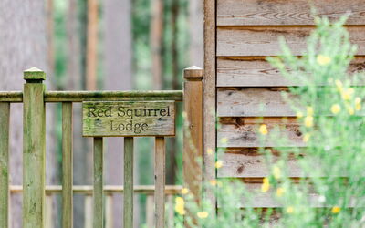 Accommodation:&nbsp;Red Squirrel Lodge 100.2