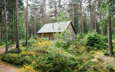 Accommodation:&nbsp;Red Squirrel Lodge 100.2