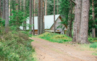 Accommodation:&nbsp;Capercaillie Cabin 100.3
