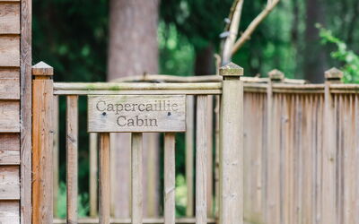 Accommodation:&nbsp;Capercaillie Cabin 100.3