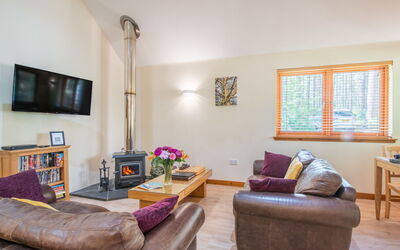 Accommodation:&nbsp;Capercaillie Cabin 100.3
