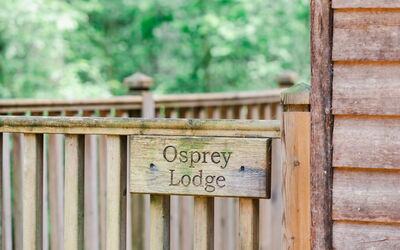 Accommodation:&nbsp;Osprey Lodge 100.4